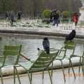 Сады des Tuileries.
