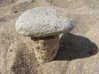 Каменный гриб :-)