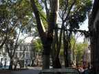 DSCN5442
